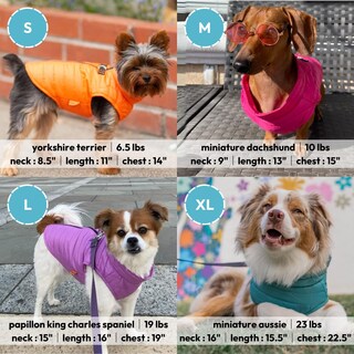 Foto 5 | Chaleco Acolchado Gooby Para Perros, Color Turquesa, Resistente Al Agua - Venta Internacional.