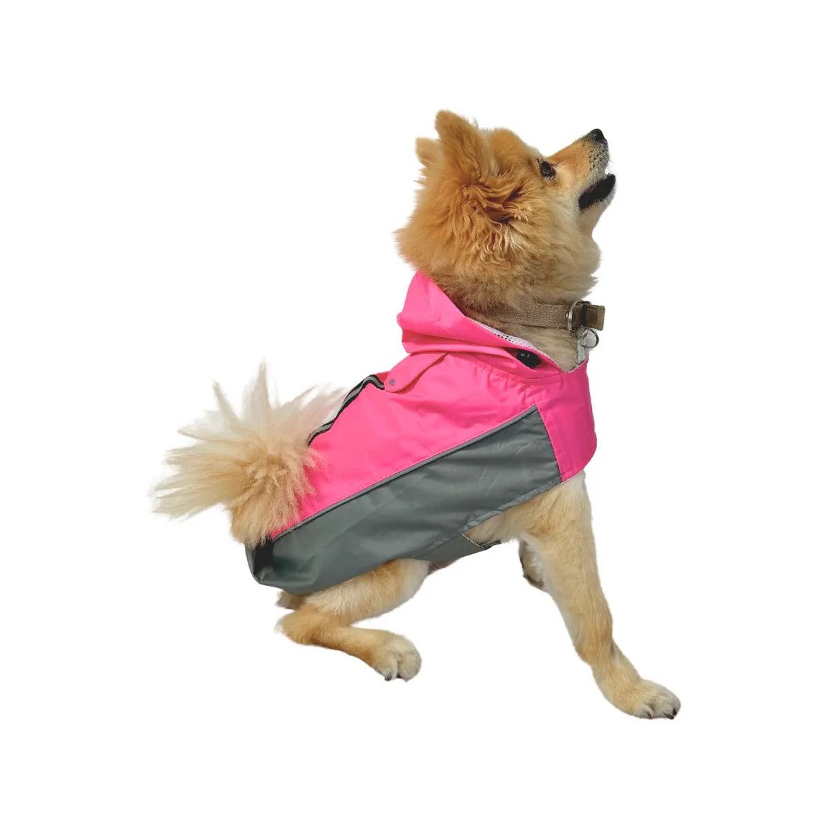 Foto 3 | Impermeable Para Gato Perro Talla Ch Eo Safe Imports Esi-20144 Rosa