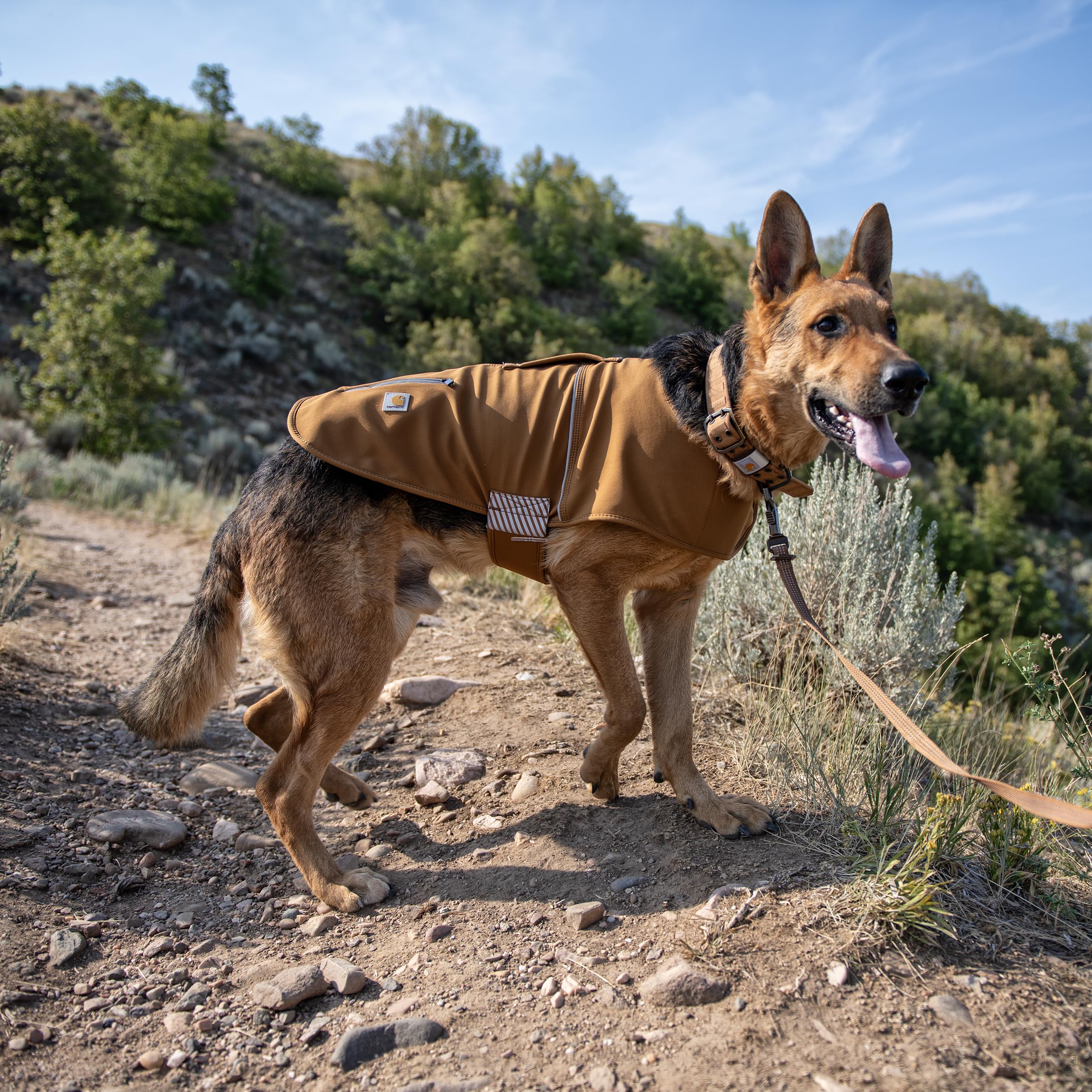Foto 6 pulgar | Chaleco Para Perros Carhartt Quick Duck Jac  Repelente Al Agua  Marrón  Tamaño Grande - Venta Internacional.