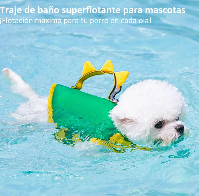 Foto 3 pulgar | Chaleco Salvavidas Xtellar Para Perros, Seguro Y Cómodo, Talla S, Color Verde, Ideal Para Actividades Acuáticas