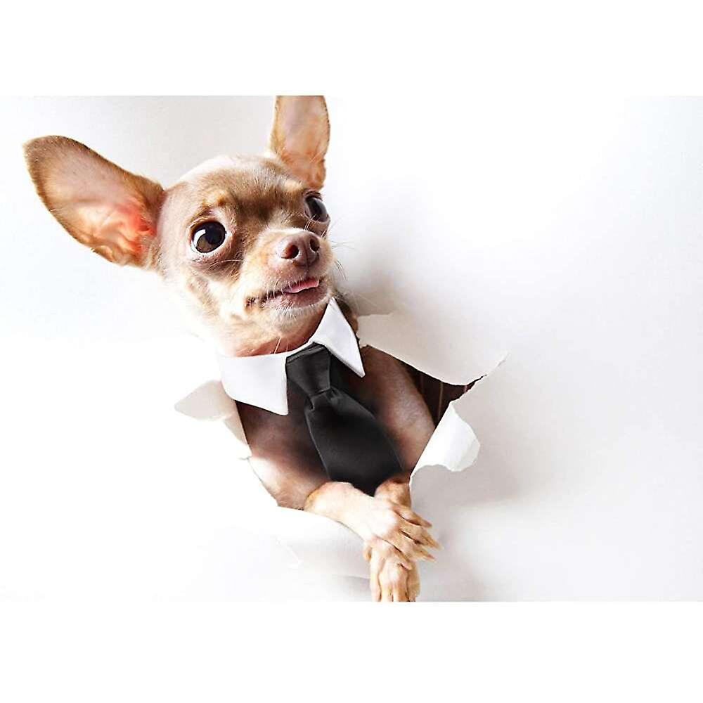 Esmoquin Con Corbata De Perro Con Cuello Blanco Para Un Cachorro De 9,8 A 11,8 Pulgadas - Venta Internacional.