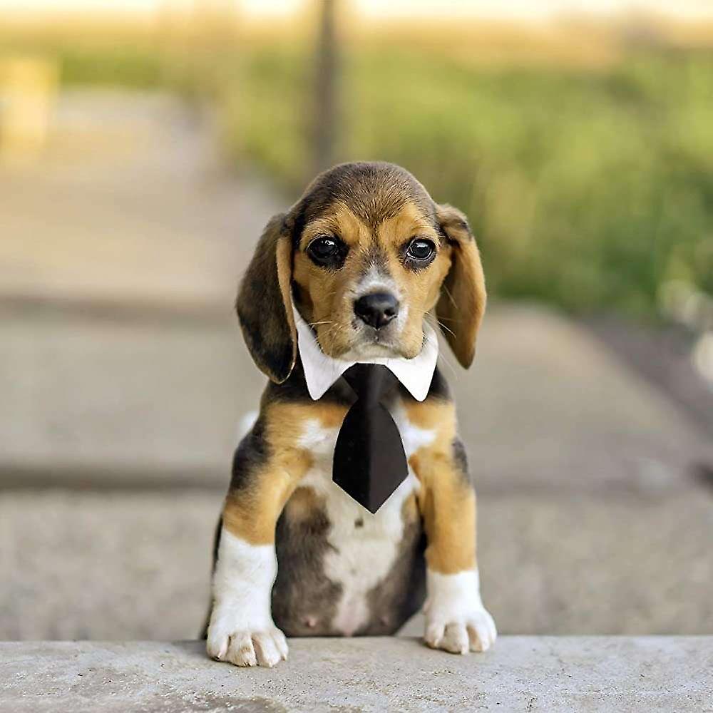 Foto 3 pulgar | Esmoquin Con Corbata De Perro Con Cuello Blanco Para Un Cachorro De 9,8 A 11,8 Pulgadas - Venta Internacional.