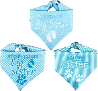 Foto 3 | Kit 3 Bandanas Artesanales Para Perro Bff 040-hermana Mayor-azul Paliacate Doble Vista 6 Looks Diferentes.