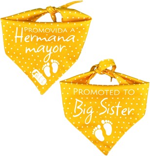 Foto 6 | Kit 3 Bandanas Artesanales Para Perro Bff 040-hermana Mayor-mostaza Paliacate Doble Vista 6 Looks Diferentes.