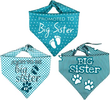 Foto 3 | Kit 3 Bandanas Artesanales Para Perro Bff 040-hermana Mayor-agua-paliacate Doble Vista 6 Looks Diferentes.