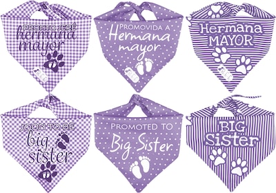 Foto 1 | Kit 3 Bandanas Artesanales Para Perro Bff 040-hermana Mayor-lavanda Paliacate Doble Vista 6 Looks Diferentes.