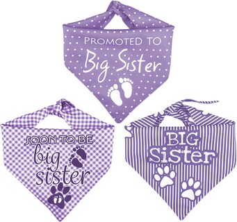 Foto 3 | Kit 3 Bandanas Artesanales Para Perro Bff 040-hermana Mayor-lavanda Paliacate Doble Vista 6 Looks Diferentes.
