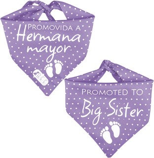Foto 6 | Kit 3 Bandanas Artesanales Para Perro Bff 040-hermana Mayor-lavanda Paliacate Doble Vista 6 Looks Diferentes.