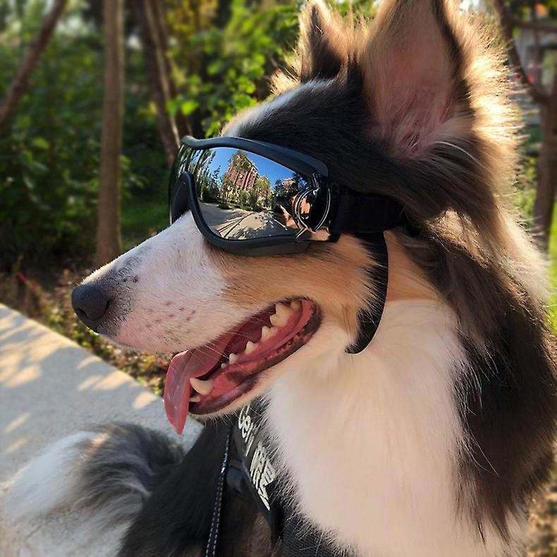 Foto 4 pulgar | Gafas De Sol Para Perros A Prueba De Rayos Uv, Impermeables Y Resistentes Al Viento - Venta Internacional.