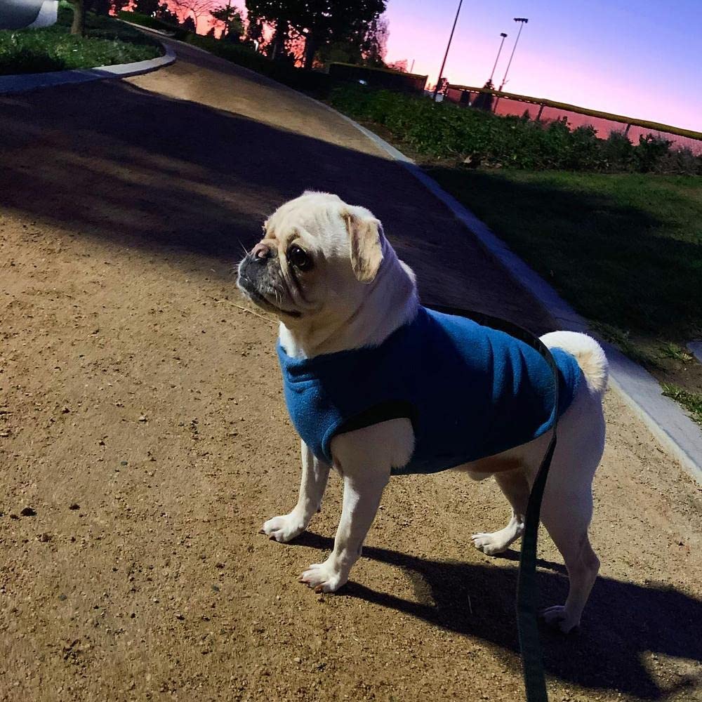 Foto 7 pulgar | Suéter Para Perros Gooby, Chaleco De Forro Polar Elástico, Azul Acero, Para Perros Pequeños - Venta Internacional.