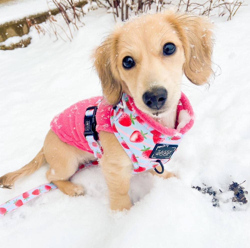 Foto 6 | Chaleco Polar Elástico Gooby Para Perros X-small, Color Rosa - Venta Internacional.