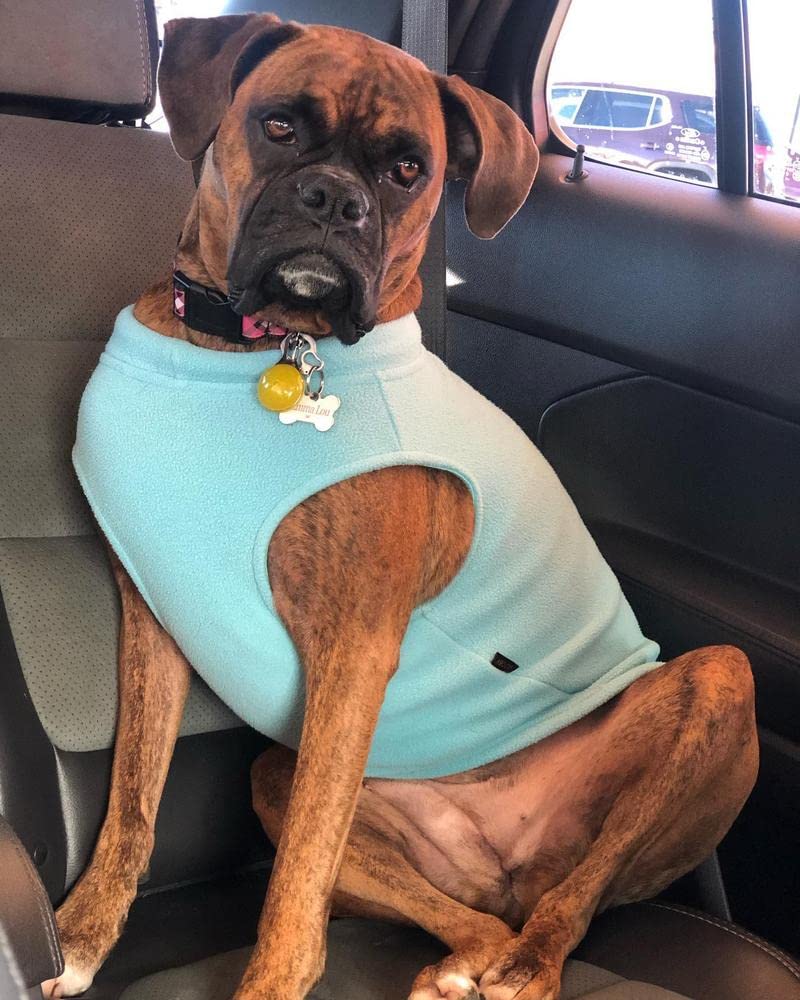 Foto 7 pulgar | Chaleco De Forro Polar Elástico Gooby Para Perros, Color Menta, Talla 6xl - Venta Internacional.