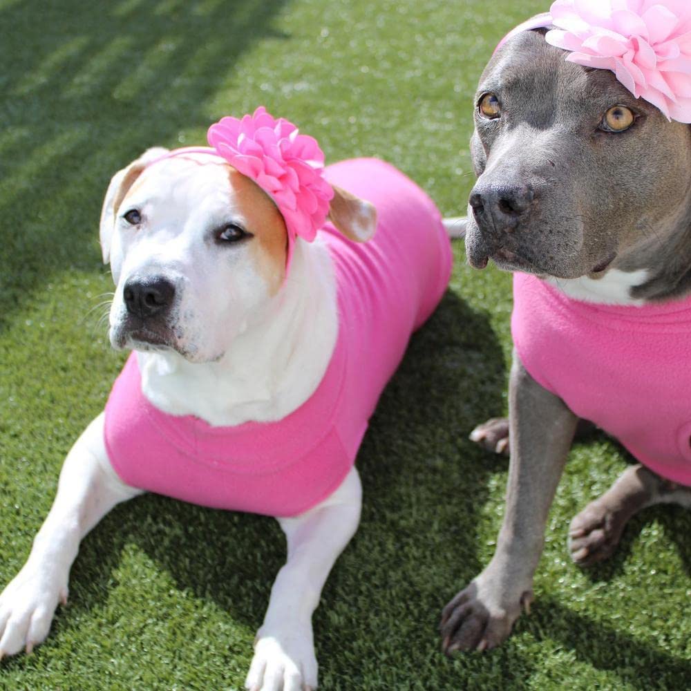 Foto 7 pulgar | Chaleco Polar Elástico Gooby Para Perros, Color Rosa, Talla 6xl - Venta Internacional.