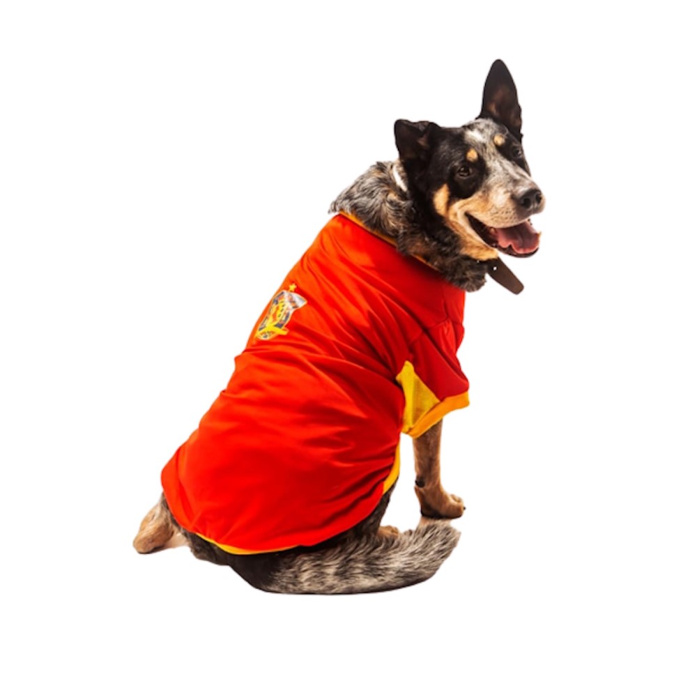 Foto 2 pulgar | Playera España Mundial de Futbol Pet Pals para Mascota