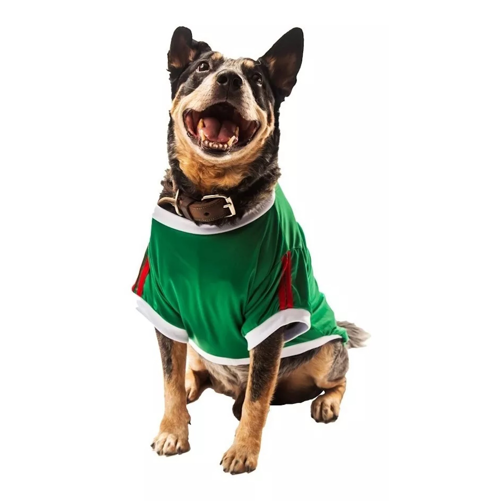 Foto 3 pulgar | Playera México Mundial Futbol Pet Pals para Perro