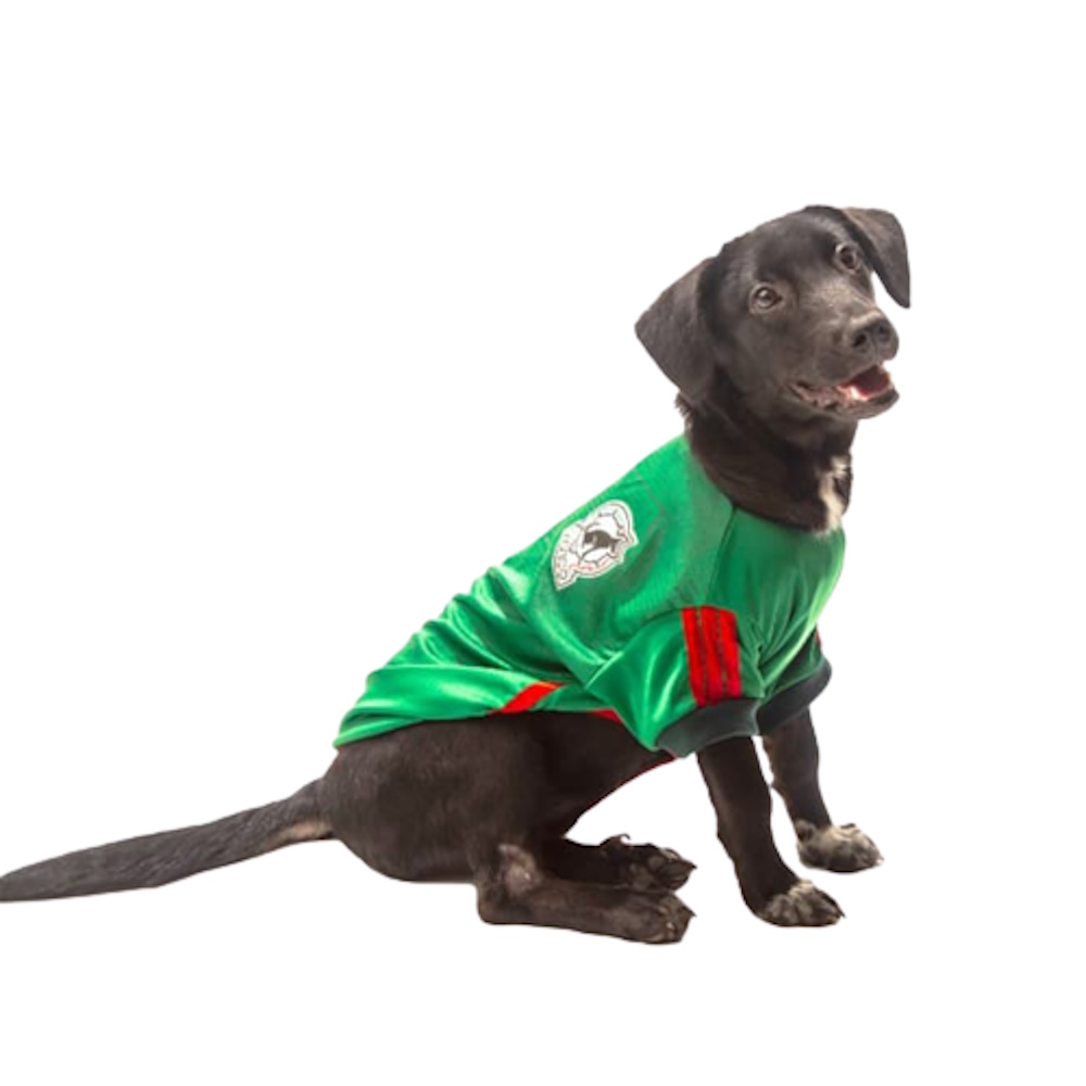 Foto 2 pulgar | Playera México Pet Pals Verde para Perro