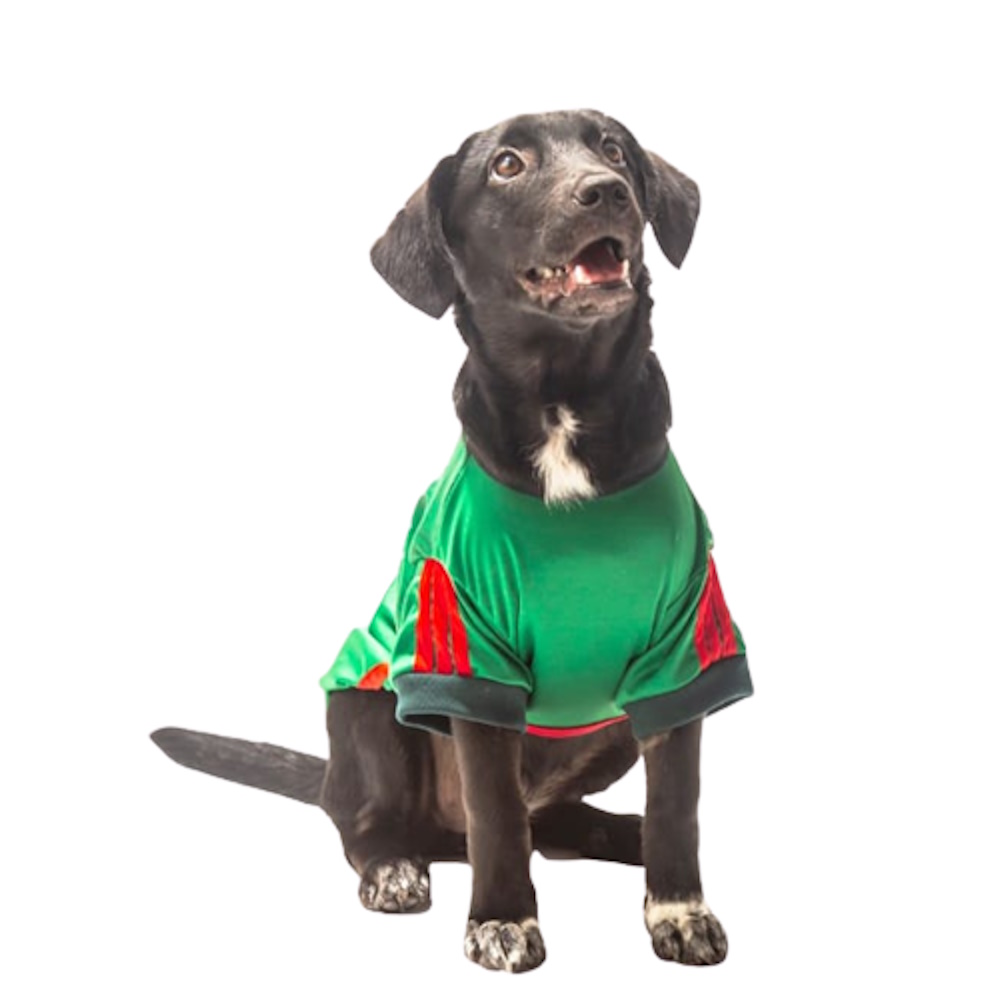 Foto 3 pulgar | Playera México Pet Pals Verde para Perro