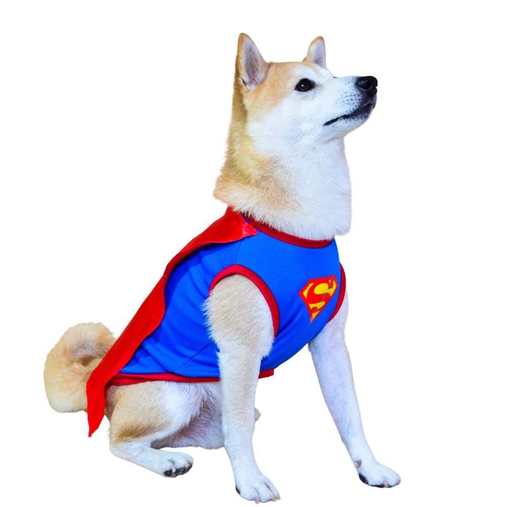 Camiseta Mascotti Super Dog CH Color Rojo Para Perros