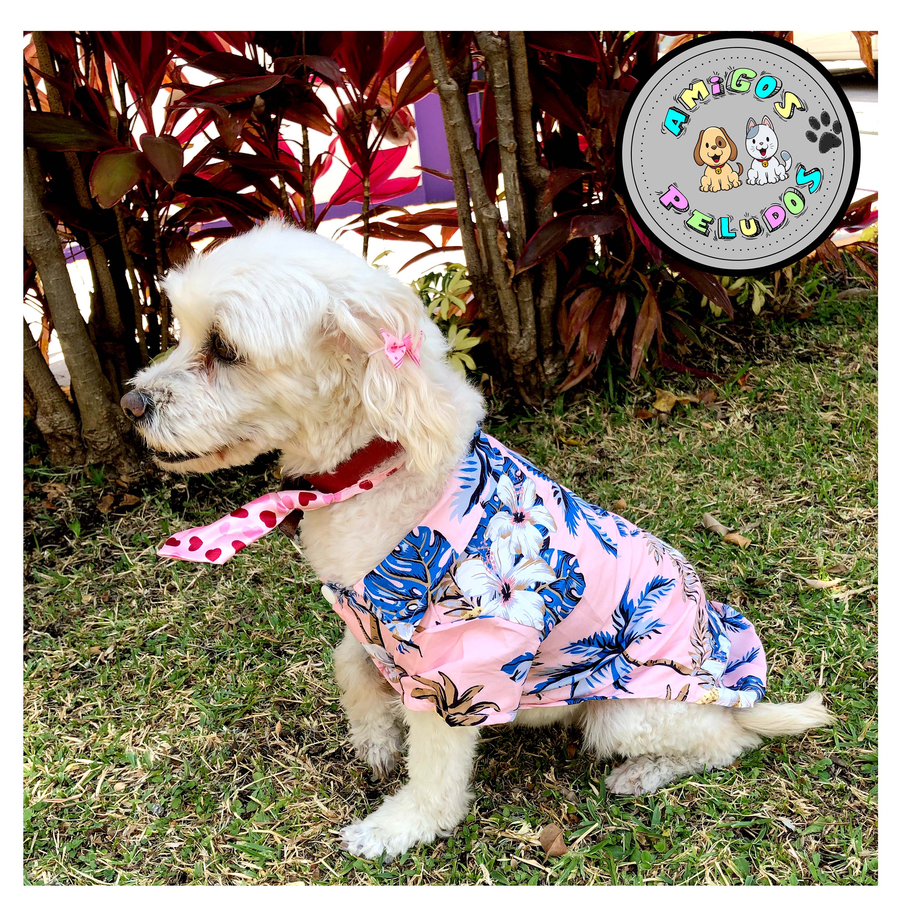 Foto 4 pulgar | Camisa Hawaiana para Perro Razas Pequeñas Gato 3 Pack