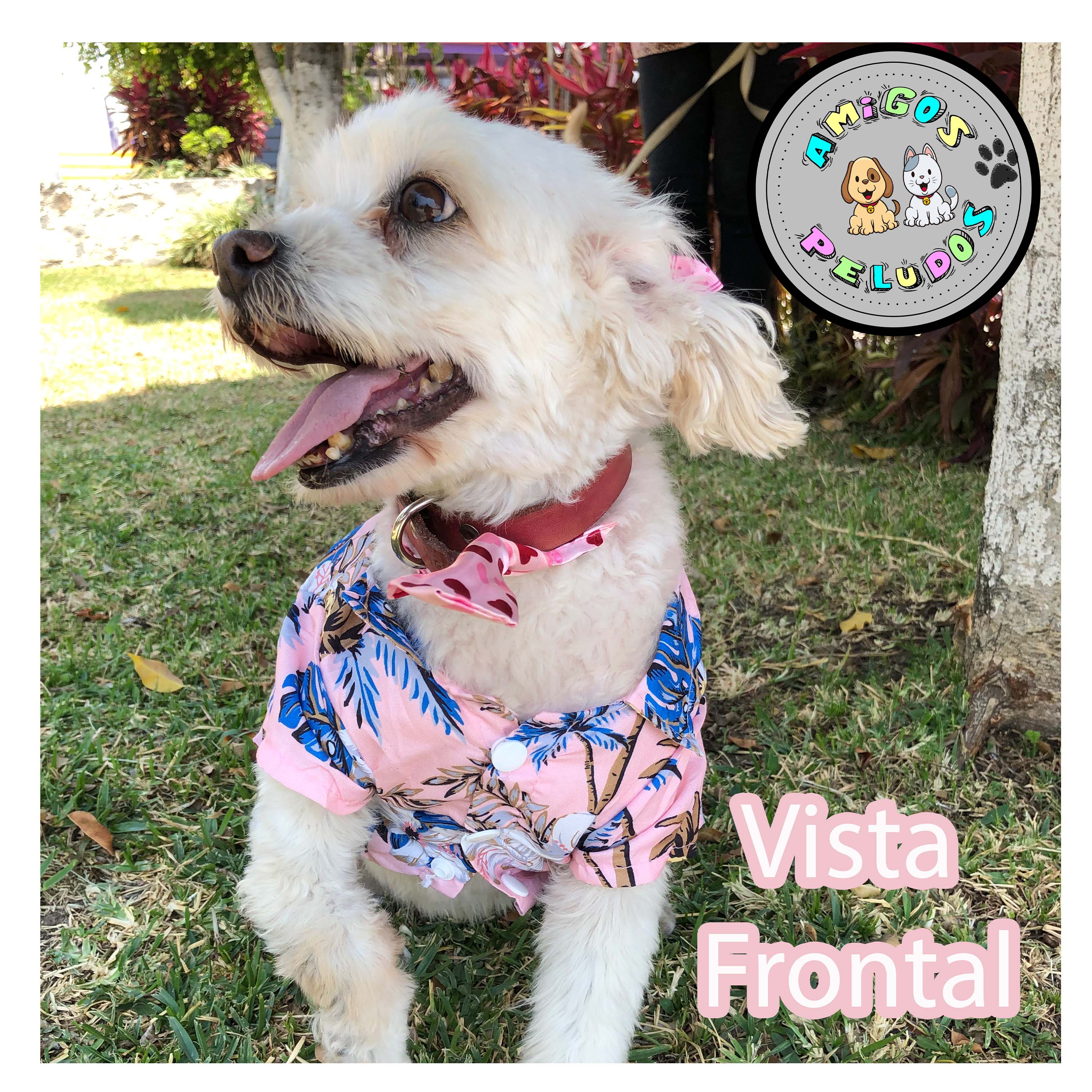 Foto 5 pulgar | Camisa Hawaiana para Perro Razas Pequeñas Gato 3 Pack