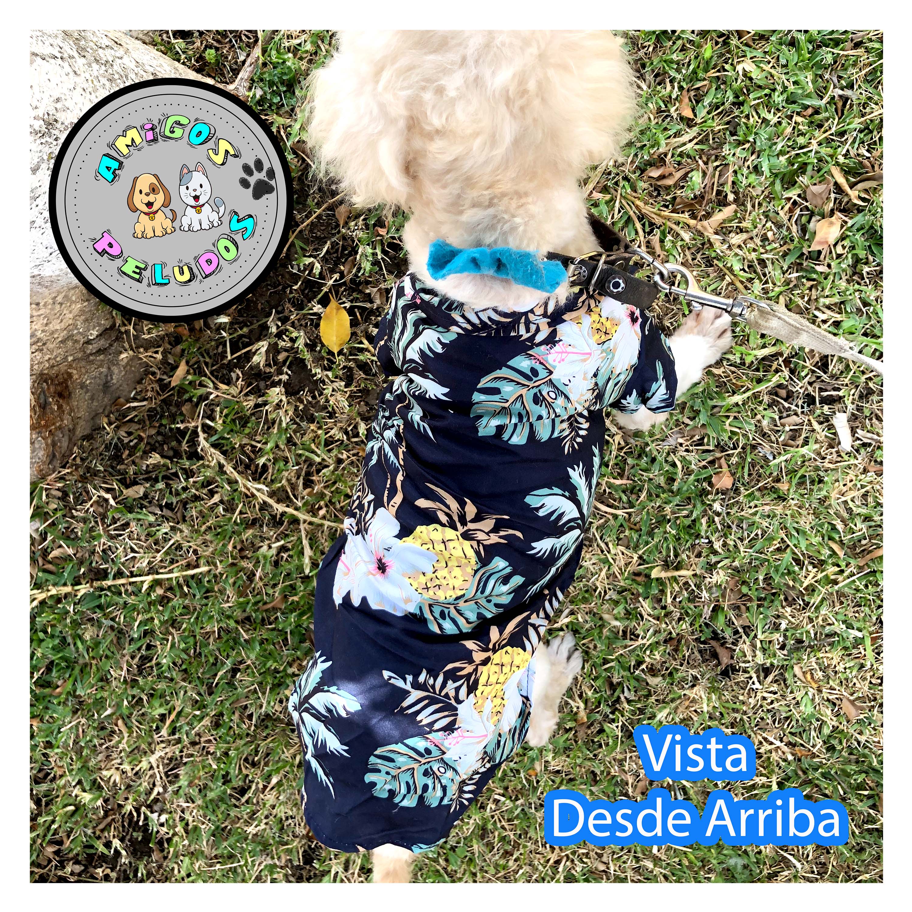 Foto 6 pulgar | Camisa Hawaiana para Perro Razas Pequeñas Gato 3 Pack