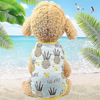 Foto 1 | Camiseta Para Mascota Con Estampado De Frutas Para Perro Y Gato, Talla M - Venta Internacional.