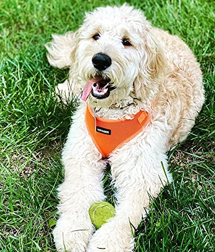 Foto 5 | Arnés Para Mascotas Best Pet Supplies Voyager Step-in Lock Rojo - Venta Internacional.