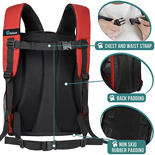 Foto 5 pulgar | Mochila Transportadora De Mascotas Petami Deluxe Para Perros Y Gatos Pequeños, Cachorros | Diseño Ve - Venta Intern