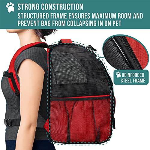 Foto 6 pulgar | Mochila Transportadora De Mascotas Petami Deluxe Para Perros Y Gatos Pequeños, Cachorros | Diseño Ve - Venta Intern