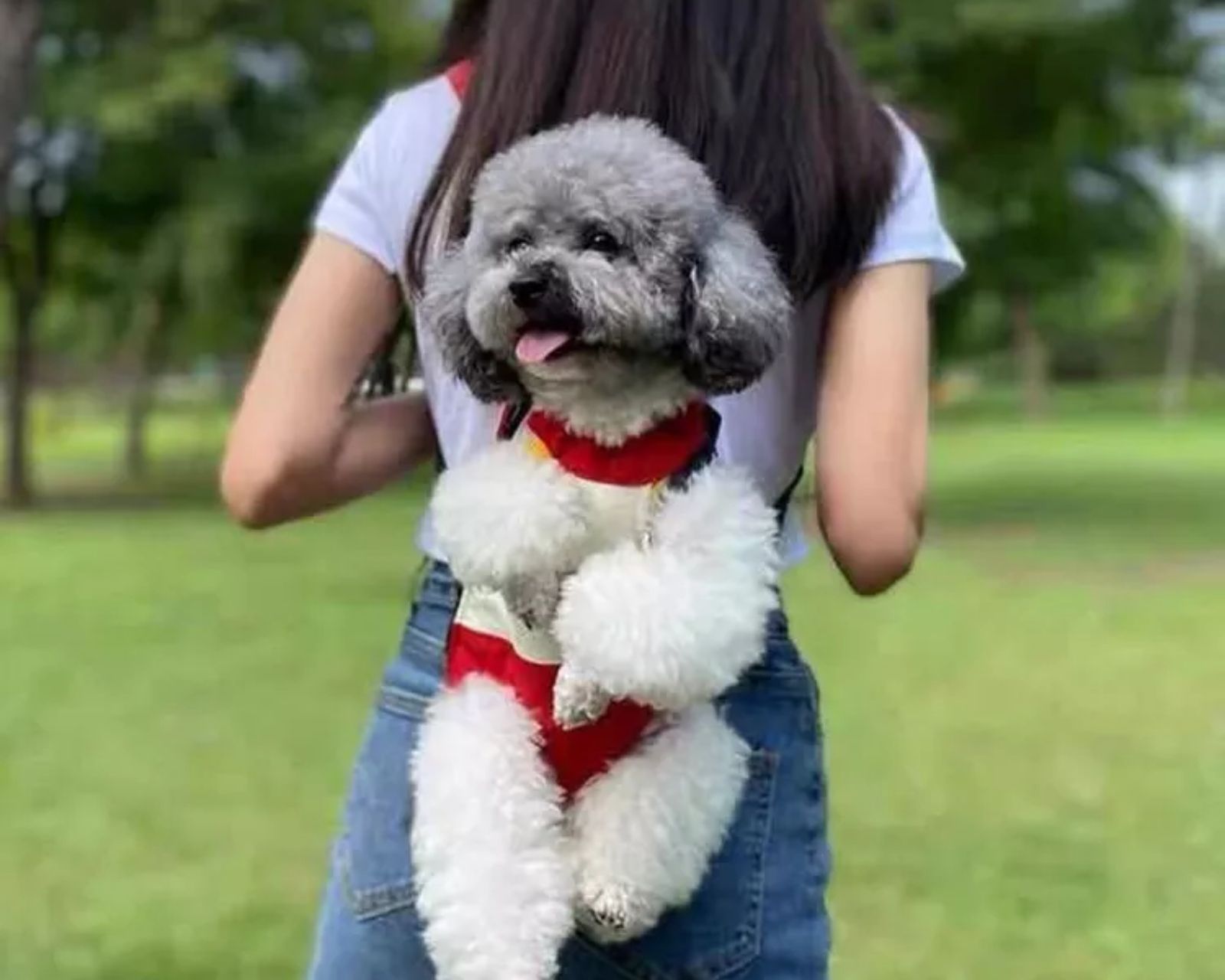 Foto 4 pulgar | Cangurera Transportadora Para Perro Y Gato Talla M
