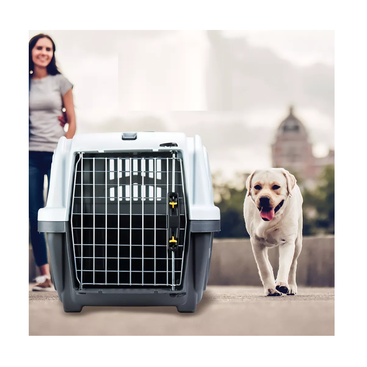 Foto 4 pulgar | Caja Transportadora de Mascotas Eo Safe Imports Esi-12200 Gris 60x40x39 cm