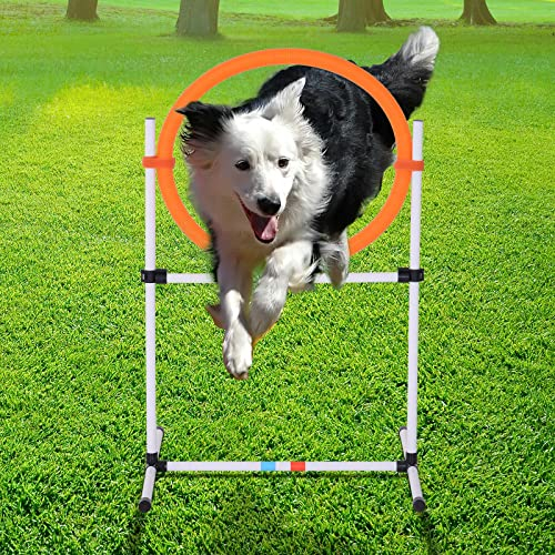 Foto 3 pulgar | Equipo de Agilidad 2 en 1 para Entrenamiento de Obstáculos para Perros PawHut - Venta Internacional