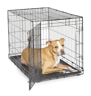 Foto 1 | Jaula Para Perros New World Recientemente Mejorada, Individual De 36 Pulgadas - Venta Internacional.