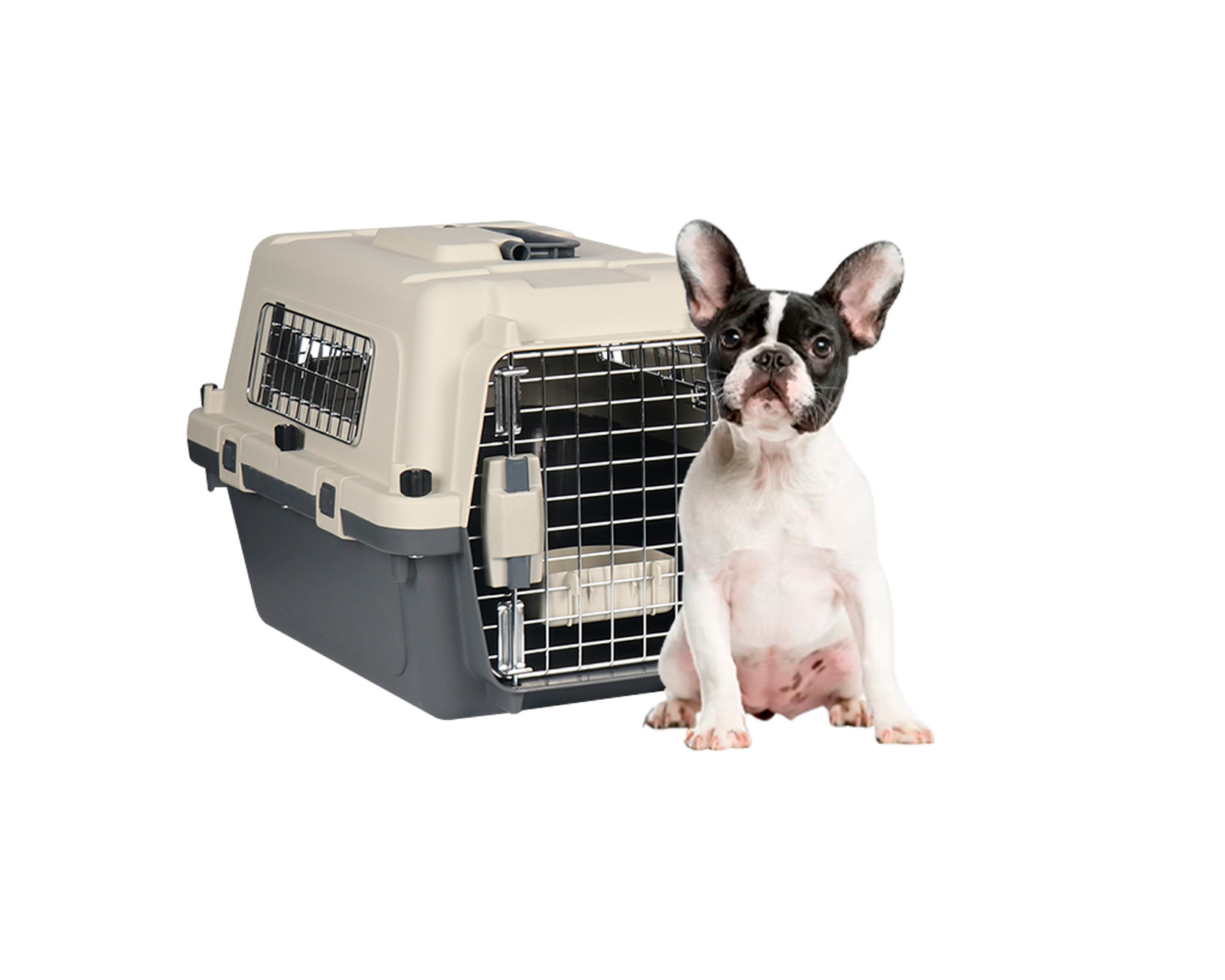 Transportadora De Plástico Para Mascotas M