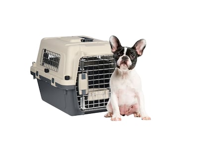 Foto 1 | Transportadora De Plástico Para Mascotas M