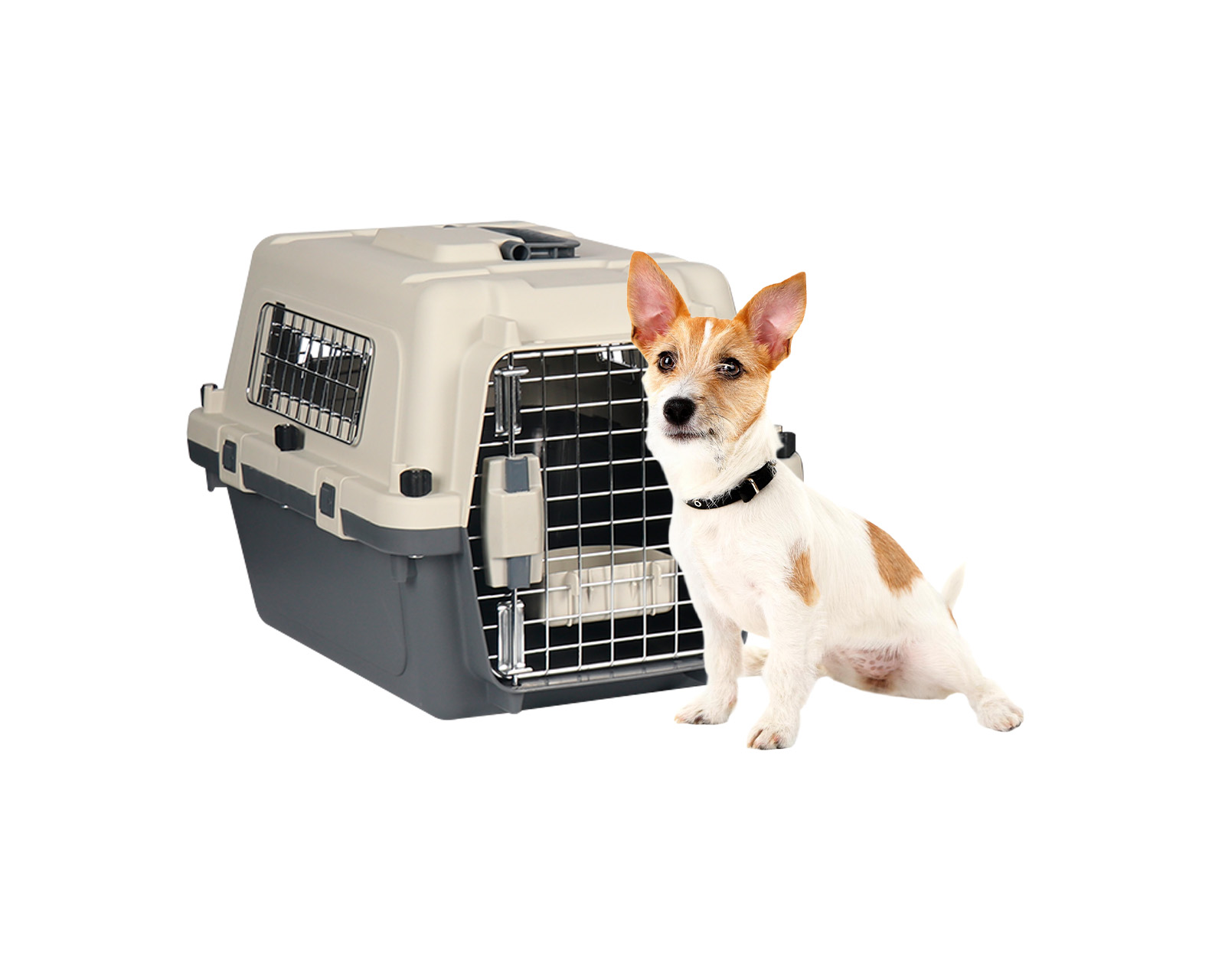 Transportadora De Plástico Para Mascotas Xs