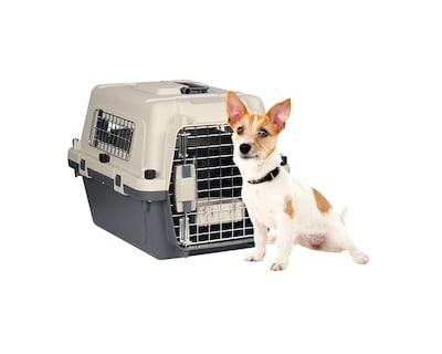 Foto 1 | Transportadora De Plástico Para Mascotas Xs