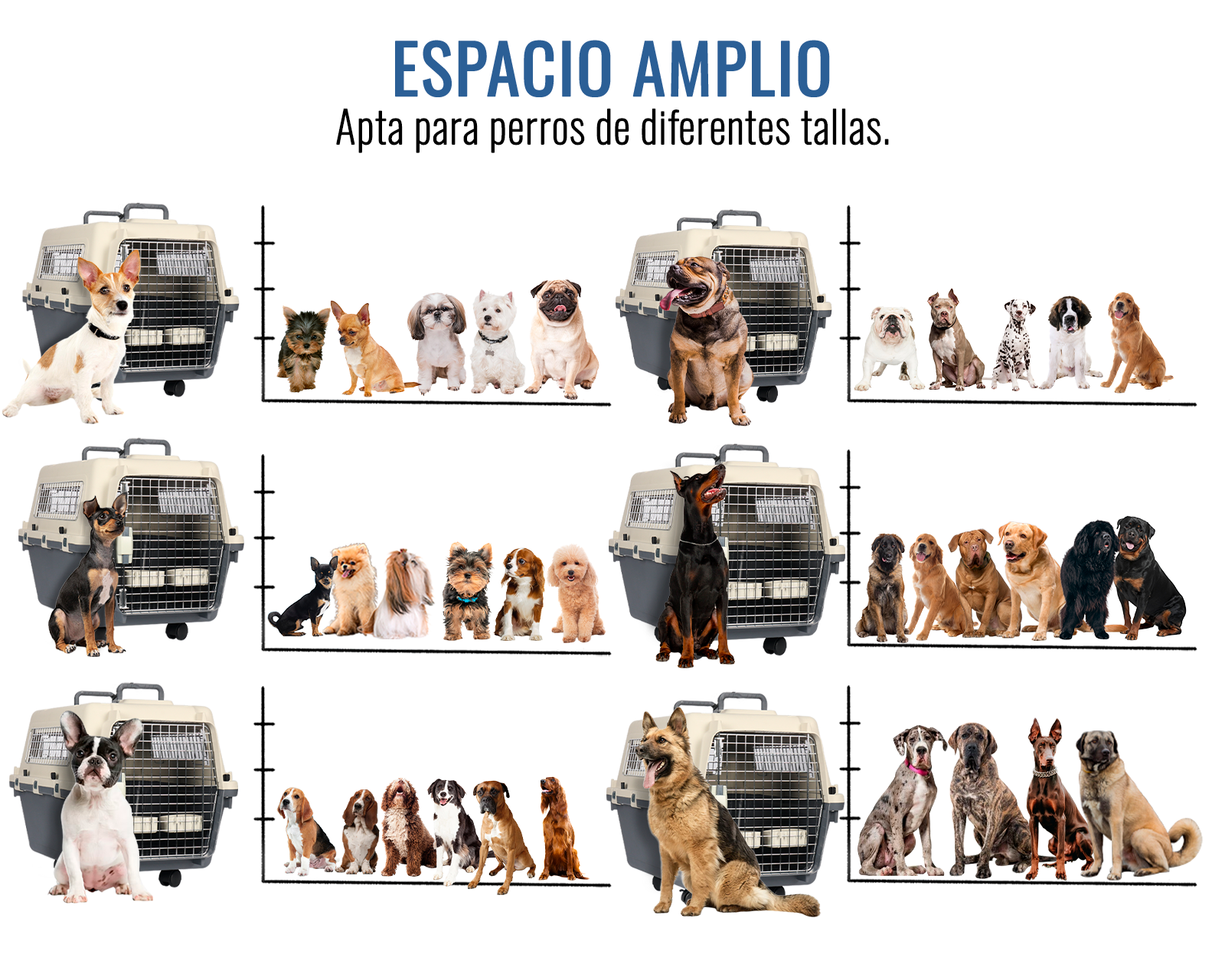 Foto 4 pulgar | Transportadora De Plástico Para Mascotas Xs