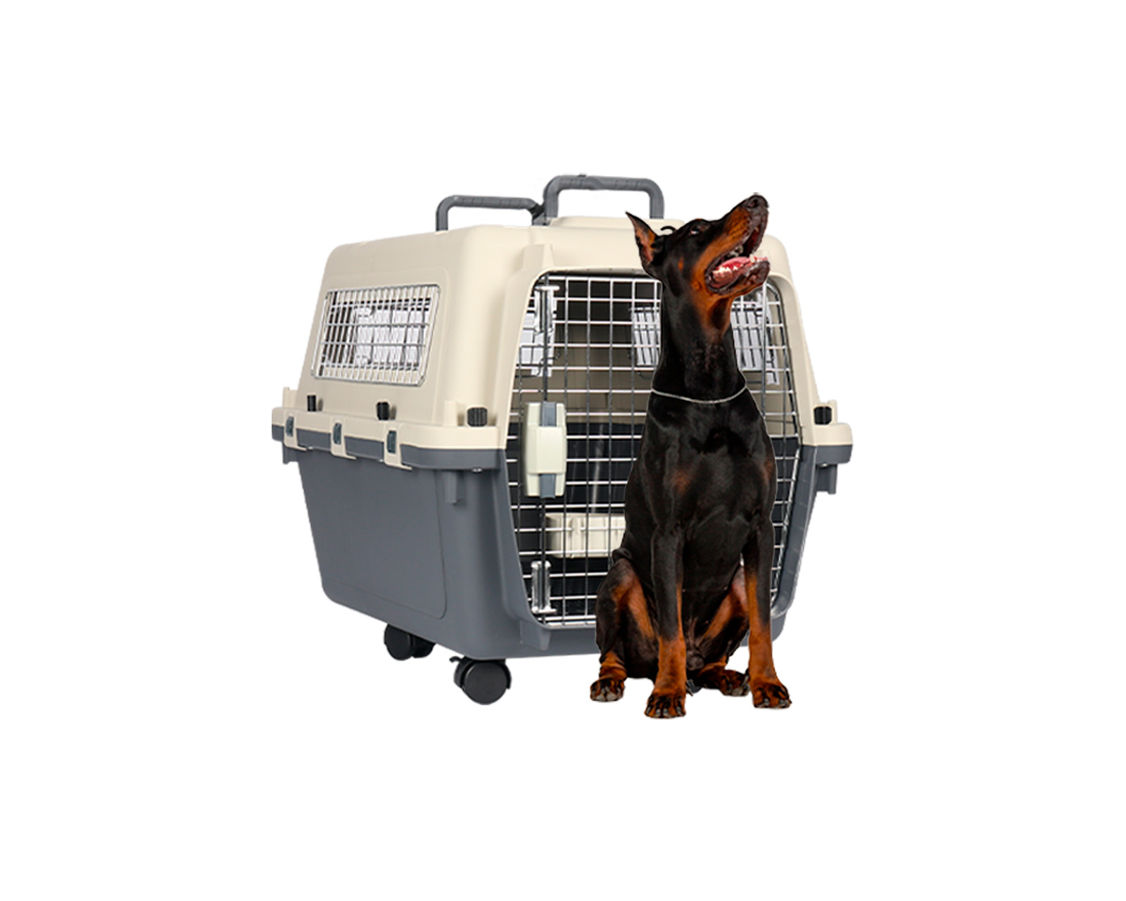 Foto 1 | Transportadora De Plástico Para Mascotas Xg