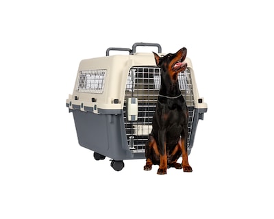 Foto 1 | Transportadora De Plástico Para Mascotas Xg