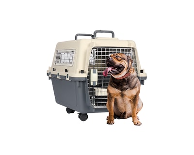 Foto 1 | Transportadora De Plástico Para Mascotas G