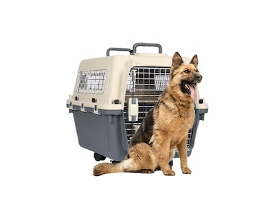 Foto 1 | Transportadora De Plástico Para Mascotas Xxg
