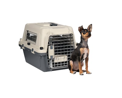 Foto 1 | Transportadora De Plástico Para Mascotas S