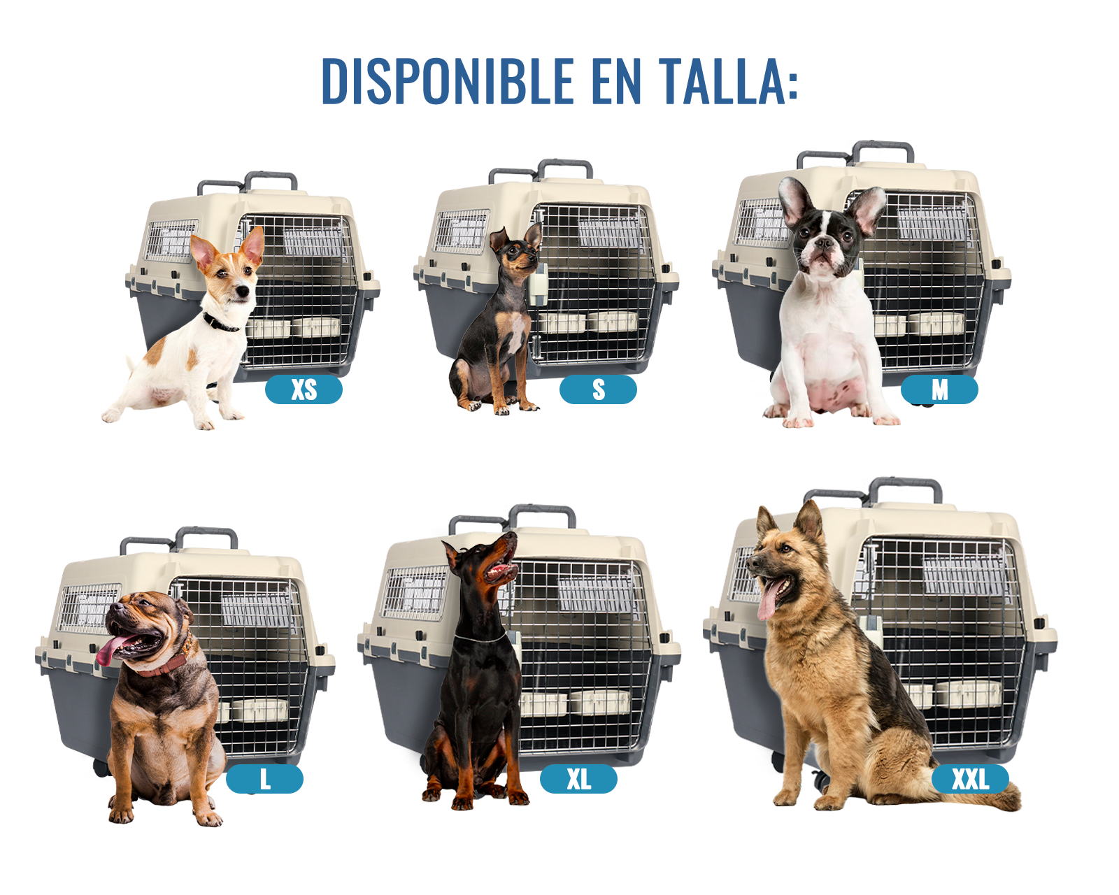 Foto 3 pulgar | Transportadora De Plástico Para Mascotas S