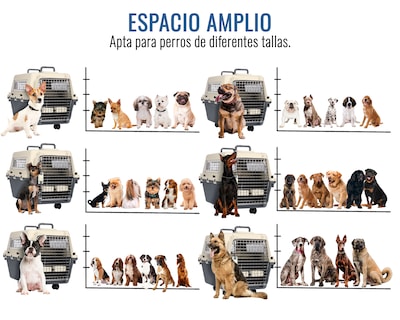 Foto 3 | Transportadora De Plástico Para Mascotas S