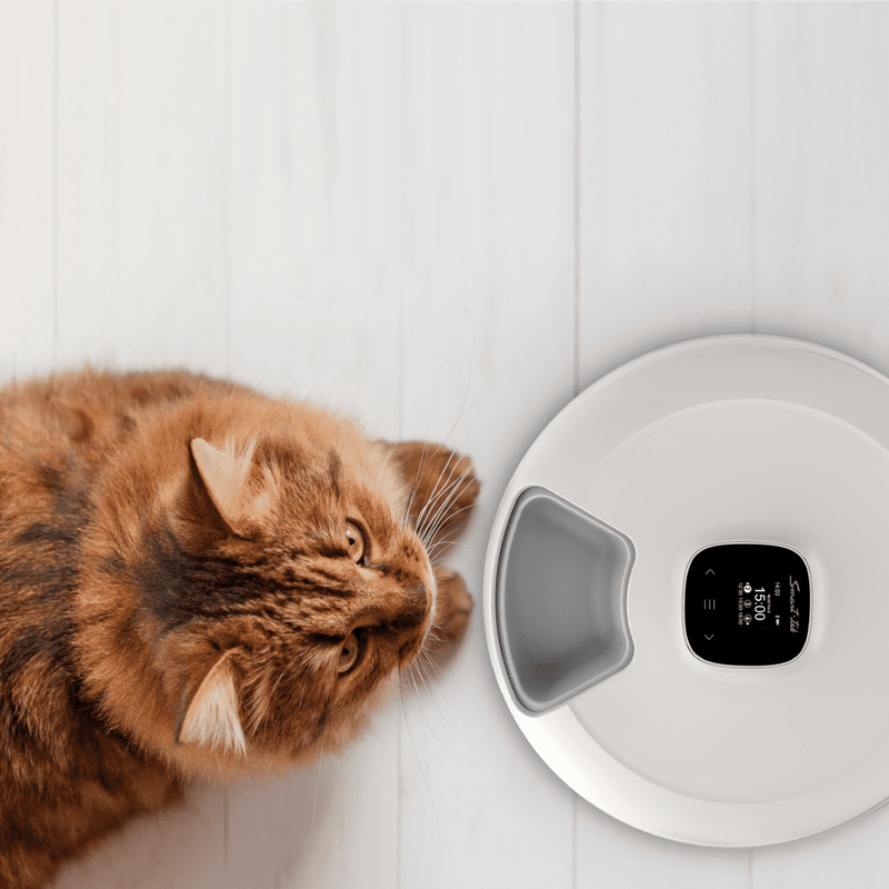 Foto 6 | Dispensador Automático de Comida Smart Tek Pf 300 Blanco para Mascotas