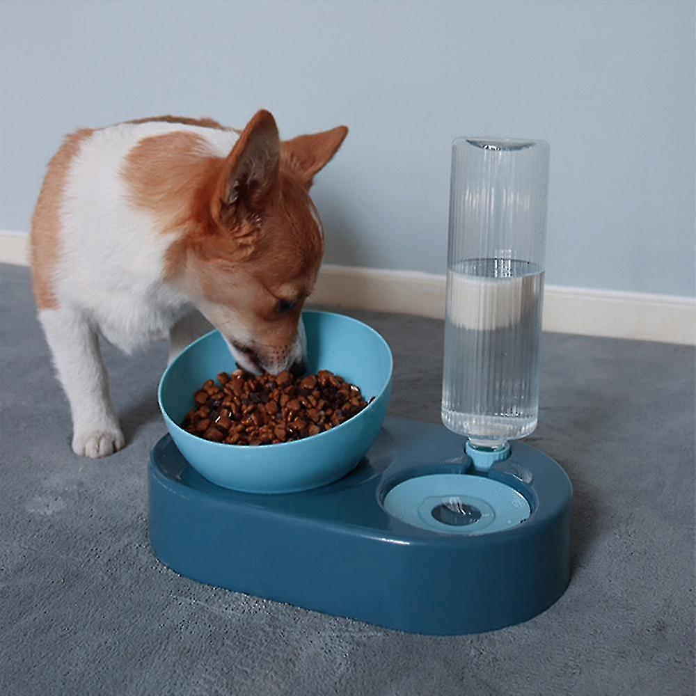 Foto 5 pulgar | Botellas Para Alimentación De Mascotas Mascot Drinker, Color Azul - Venta Internacional.