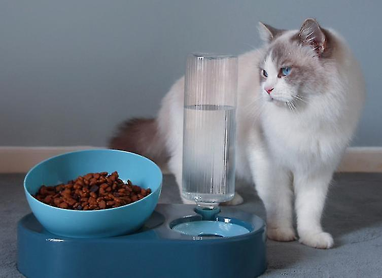 Foto 5 | Botellas Para Alimentación De Mascotas Mascot Drinker, Color Azul - Venta Internacional.