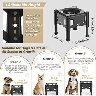 Foto 3 | Soporte Elevado Para Perros Lewondr, Alimentador Lento, De Acero Inoxidable - Venta Internacional.
