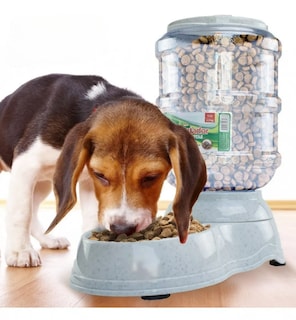 Foto 4 | Tazon Dispensador Automatico Alimento Para Perros Gato Chico Xtellar